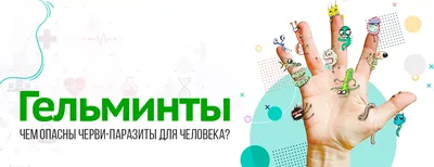 Виды защиты от паразитов: базовая, комплексная, дома и в помещении