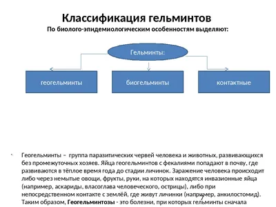 Гельминты из Африки: чем опасен лоаоз?» — Яндекс Кью