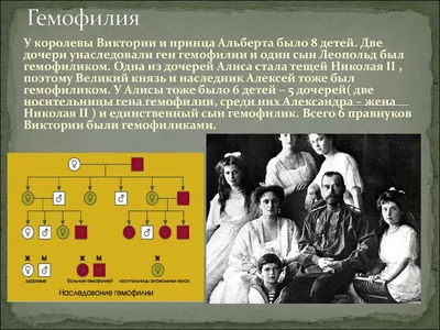 Гемофилия: Страдают мужчины - виноваты женщины - Российская газета