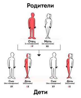 Краткие факты | Гемофилия | Справка.Неинвалид.ru