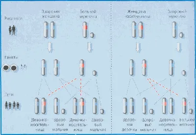 Фактор» безразличия | Не болей