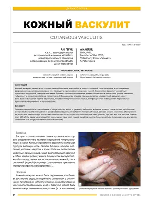 Skin manifestations of a new coronovirus infection COVID-19 caused by  SARS-CoV-2 - Khryanin - Vestnik dermatologii i venerologii