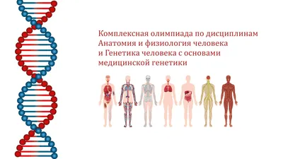 Услуги генетика во Владивостоке - цена на услуги