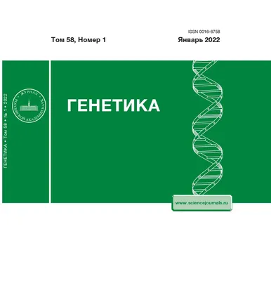 Может ли генетика определять наши любимые блюда