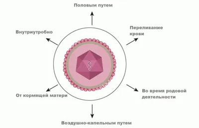 Кожные заболевания: герпес - Клиника ТРИНИТИ (Москва)