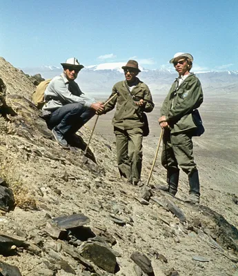 Фото \"Геологи на маршруте в горных долинах Памира\", 15 - 18 сентября 1975,  Таджикская ССР, Горно-Бадахшанская АО - История России в фотографиях