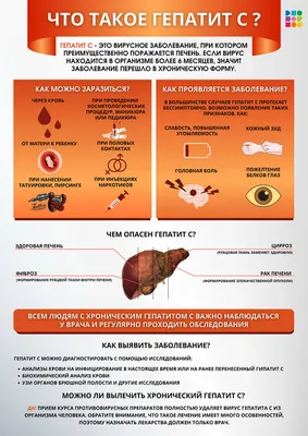 Всемирный день борьбы с гепатитом - Новости - 30-я поликлиника г. Минска