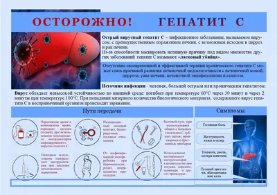 Гепатит С. Вирус опасен, но болезнь излечима | Оренбургский областной центр  общественного здоровья и медицинской профилактики