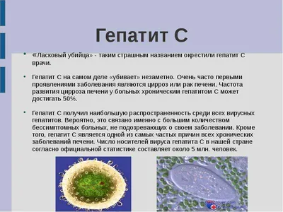 🦠Гепатит C у взрослых с каждым годом встречается все чаще. На сегодняшний  день носителями вируса являются миллионы людей. 80% всех больных … |  Instagram