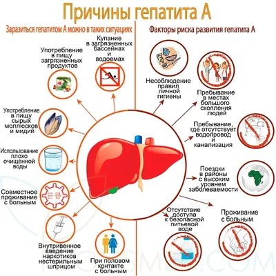 Всемирный день борьбы против гепатита | ГБУЗ ПККБ1