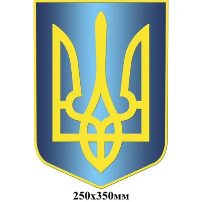 Флаг Герб Украины камуфляж/черный купить в Киеве и Украине - цена, фото в  интернет-магазине Tenti.in.ua