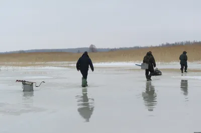 Гермафродит | Жизнь, как она есть