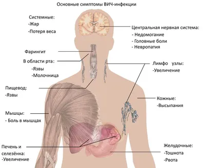 ВПЧ (вирус папилломы человека) | причины, симптомы, типы, диагностика и  лечение папилломавирусной инфекции