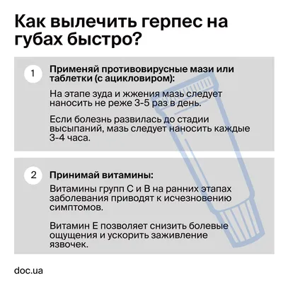 Герпес - причины появления, симптомы заболевания, диагностика и способы  лечения