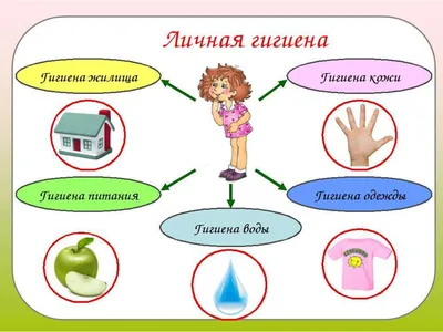 Профессиональная гигиена полости рта [цена в Москве, этапы]