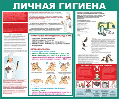 Информационные ролики \"Компьютерная гигиена\"