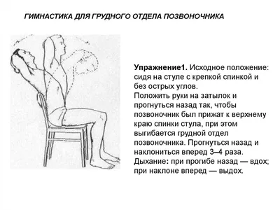 Комплексы упражнений ЛФК при остеохондрозе позвоночника: эффективные методы  лечения