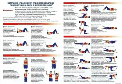 Упражнение при грыже позвоночника шейного, грудного, поясничного отдела.  ЛФК при межпозвоночной грыже – Отделение вертебрологии НКЦ №2 (ЦКБ РАН)