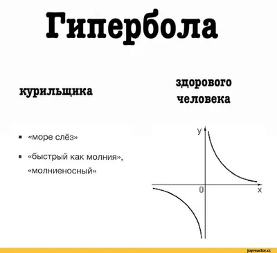 Щиты вдоль траволатора Гиперболы в Гринвиче