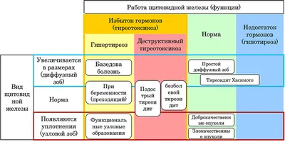 Gobalakovo - @andro_med_balakovo 🏥 Роль гормонов щитовидной железы ⠀  📍Трийодтиронин (Т3) является наиболее активным гормоном щитовидной железы.  Он образуется в результате дегидратации тироксина и вместо четырех содержит  три атома йода. Избыток ...