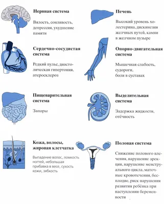 Гипотиреоз - симптомы, диагностика и лечение болезни, 13 вопросов и ответов  (FAQs) по гипотиреозу | Мед. центр «ТН-КЛИНИКА» в Москве