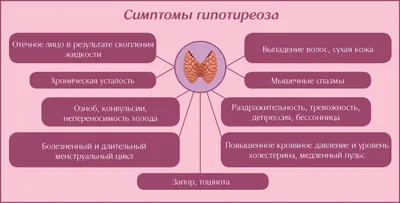 Книга \"Страсти по щитовидке. Аутоиммунный тиреоидит, гипотиреоз. Почему  иммунитет работает против нас?\" - Хан | Купить в США – Книжка US