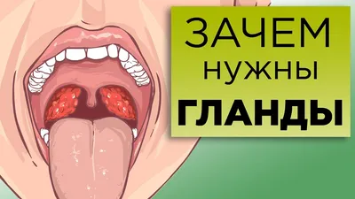 Blog | Что такое воспаление миндалин (тонзиллит)? Каковы симптомы?