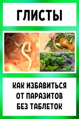 Глисты: последние новости на сегодня, самые свежие сведения | 72.ru -  новости Тюмени