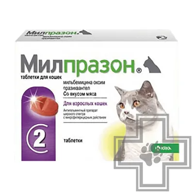 Профендер (2пип*0,35мл) капли на холку от 0,5 до 2,5кг купить, цена в  интернет-магазине \"Багира\" Симферополь, Крым