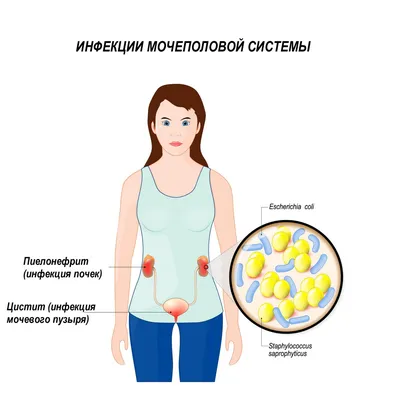 Противопаразитарные препараты - купить противопаразитарные средства в  Украине