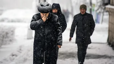 Зеленые сопли у взрослых: причины, лечение, профилактика