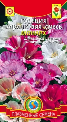 Семена годеция Русский огород Оранж глори 702598 1 уп. - купить в Москве,  цены на Мегамаркет