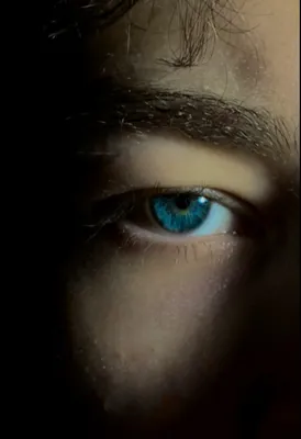Вы знали, что те люди, у которых карие глаза и голубые глаза видят  по-разному? | Никита Горбачев | Дзен