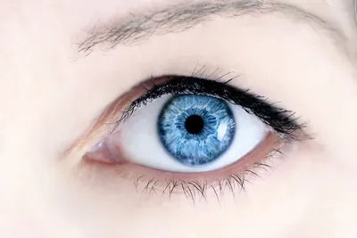 Голубые глаза - Девушки - Обои на рабочий стол - Галерейка