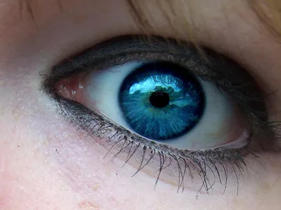 Тайна голубых глаз