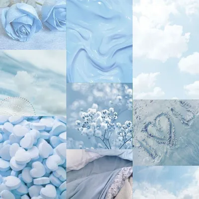 эстетика голубого цвета – Google Поиск | Blue flower wallpaper, Blue  aesthetic pastel, Blue aesthetic