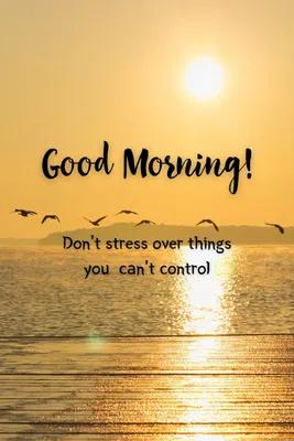 Good Morning Images With Quotes For A Positive Saturday | Times Now