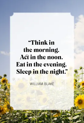 145 Best Good Morning Quotes to Start Your Day