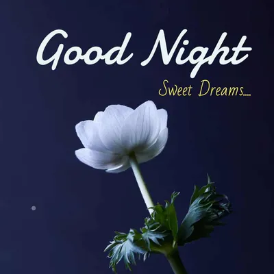 Good night love images | Romantic good night images for your love | Times  Now