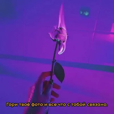 гори твое фото тренд｜TikTok Search