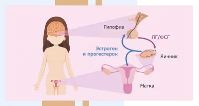 Отеки ног