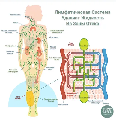 Отек лица: 4 причины и методы устранения в домашних условиях