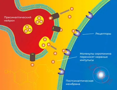 Это все гормоны! Зачем нашему телу скрытые механизмы и как с ними поладить,  Елена Березовская – скачать книгу fb2, epub, pdf на ЛитРес