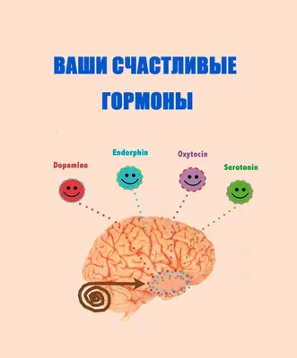 Факты о гормонах, над которыми стоит задуматься каждому | Маммологический  Центр