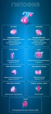 Сон и гормональный фон: пренебрегая ночным отдыхом, вы теряете здоровье