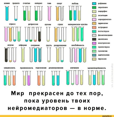 А. Липофильные гормоны / Биохимия