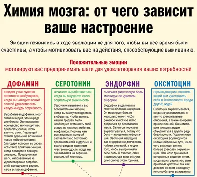 Норма гормонов у женщин ЛГ, ФСГ, пролактина и эстрадиола