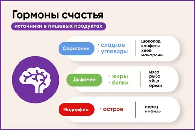 Гормоны человека – биологические функции основных гормонов