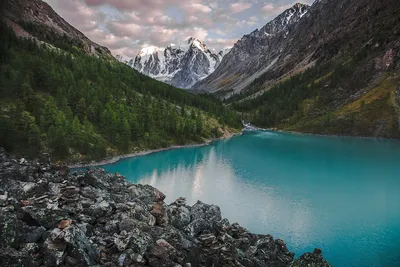 База отдыха «Кедровый остров» (Горный Алтай): фото и отзывы — E1.ТУРИЗМ