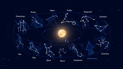 Гороскоп на 8 ноября 2023 года для всех знаков зодиака - Веселовские Вести